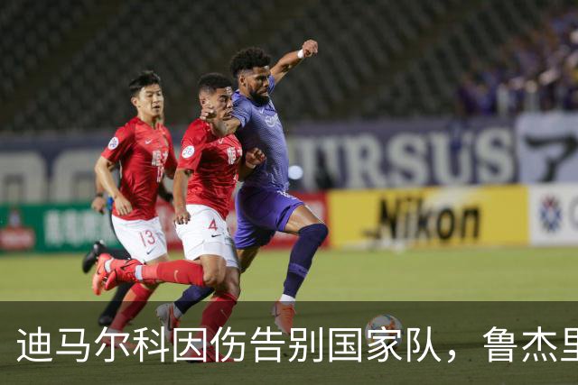 迪马尔科因伤告别国家队，鲁杰里驰援登场
